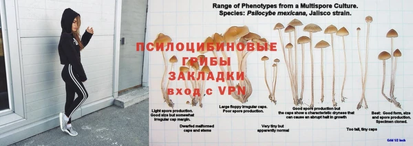мяу мяу мука Елизово