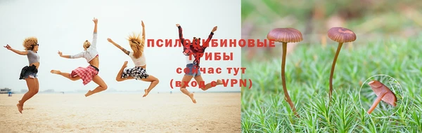 бутик Дмитровск
