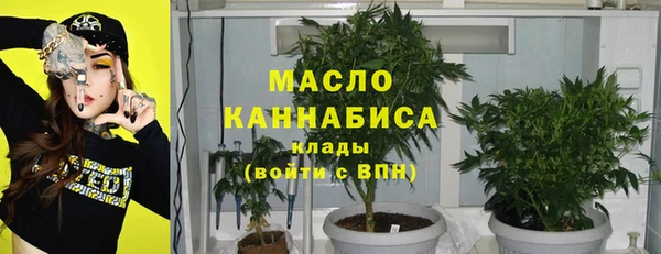 сатива Дмитров